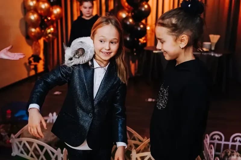 3 — Фото и видео